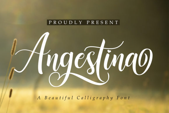 Angestina: A Refined Script for Real Brand Work