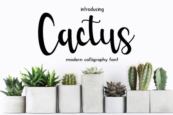 Cactus Font: A Handwritten Display Typeface for Elegant Digital Headlines