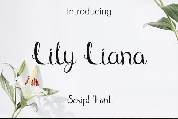 Lily Liana: A Handwritten Font That Earns Its Place in Real Campaigns