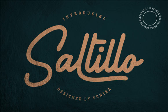 Saltillo: A Handwritten Font That Feels Like a Signature